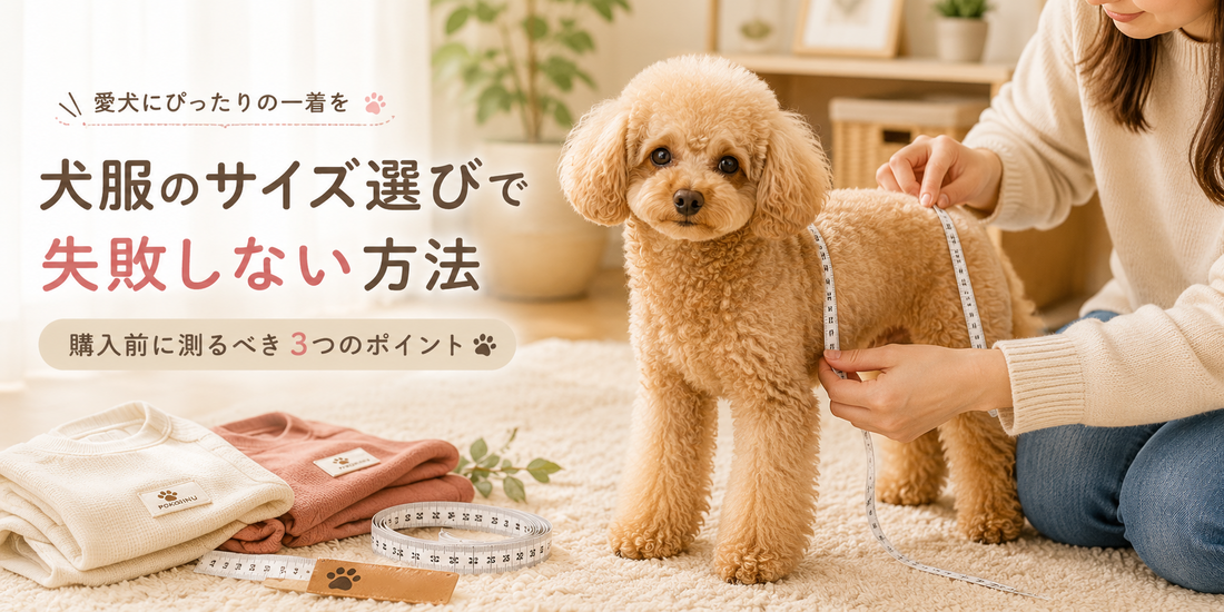 犬服のサイズ選びで失敗しない方法 ~ 購入前に測るべき3つのポイント