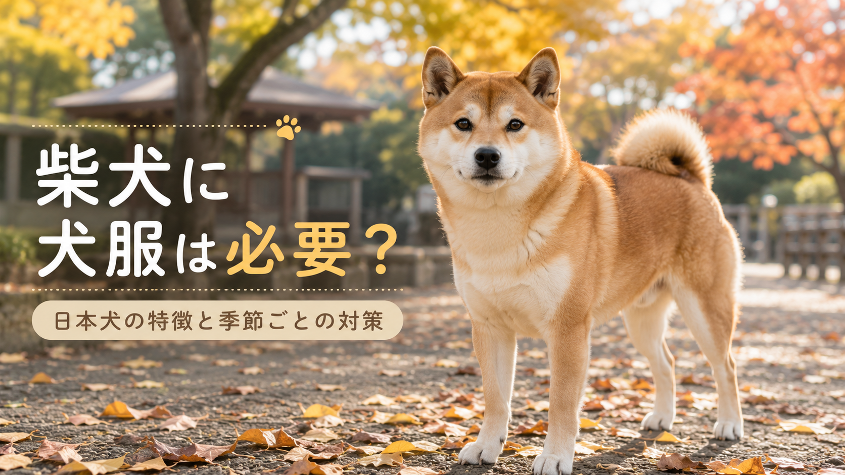 柴犬に犬服は必要？日本犬の特徴と季節ごとの対策