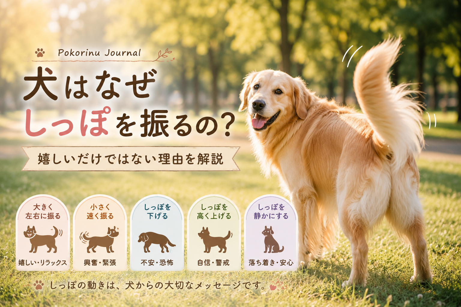 犬はなぜしっぽを振るの？嬉しいだけではない理由を解説