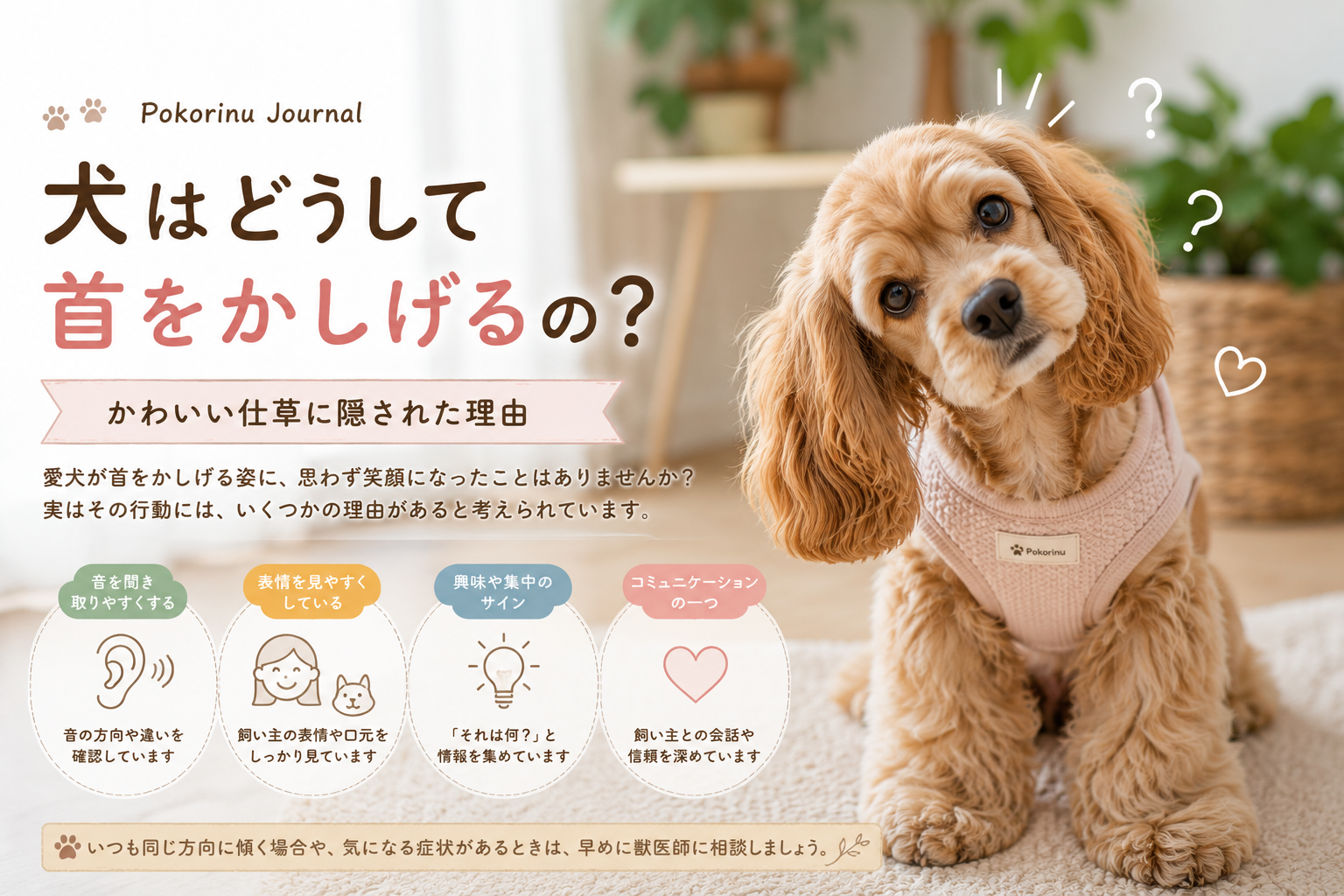 犬はどうして首をかしげるの？かわいい仕草に隠された理由