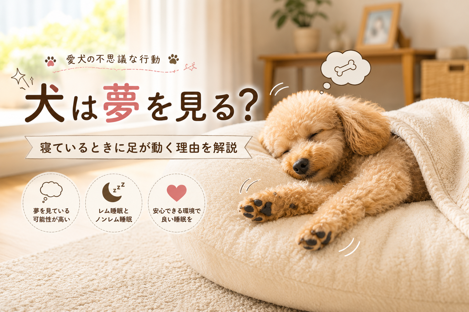 犬は夢を見る？寝ているときに足が動く理由を解説