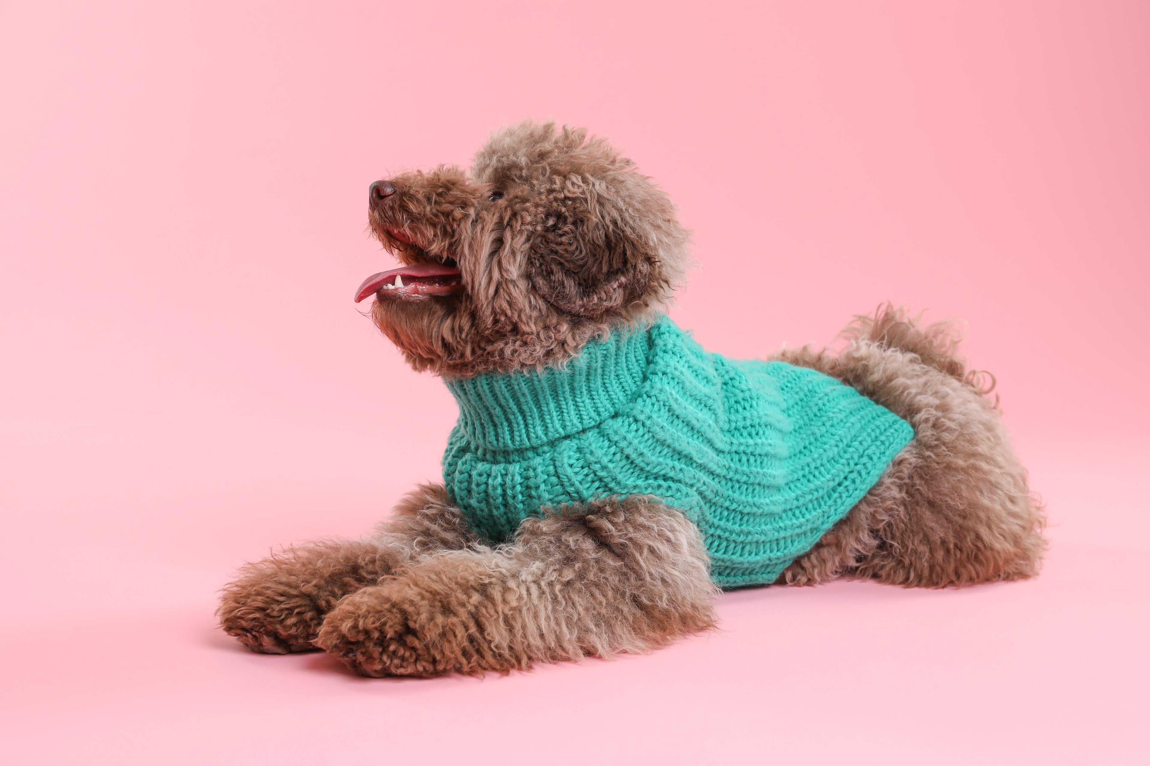 もこもこフリース犬服 冬用 小型犬向け