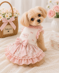 Petit Rosé（プティロゼ）